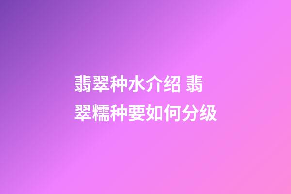 翡翠种水介绍 翡翠糯种要如何分级